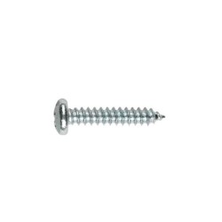PARAFUSO AG INOX C/QUEIJO 6X60