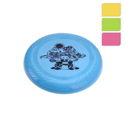 DISCO DE PRAIA 27CM 