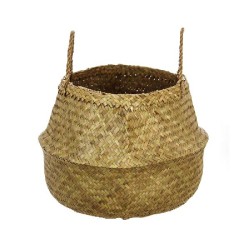 CESTA VIMES NATURAL...