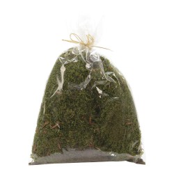 MUSGO EM SACO 80GR 15X20CM
