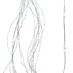 GRINALDA PARA ÁRVORES...