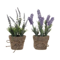 LAVANDA EM VASO