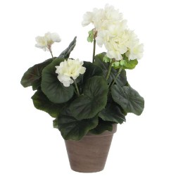 GERÂNIO COR CREME PVC EM...