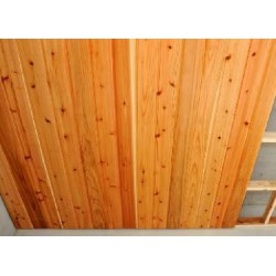 LAMBRIM CRIPTOMERIA...