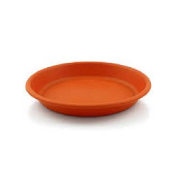 PRATO REDONDO SINO 480