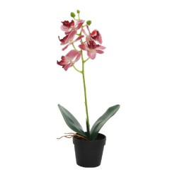 PLANTA ARTIFICIAL ORQUÍDEA...